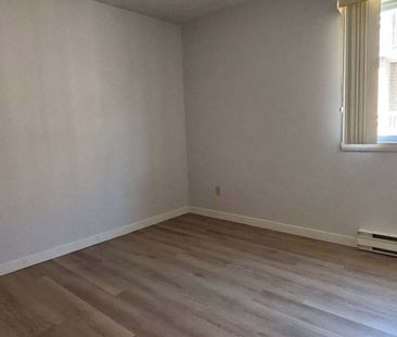 BEAU 3 1/2 | BIEN SITUÉ DANS SHERBROOKE| - Photo 3