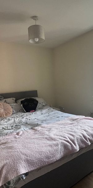 Mellisham Walk - Photo 1