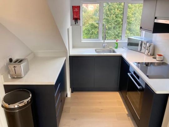 Room in a Shared Flat, Ealing Common, W3 - Photo 1
