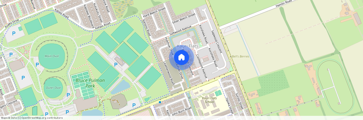 49 Black Beech Cres, Takanini