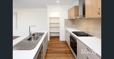 Big & Bright! - Photo 4