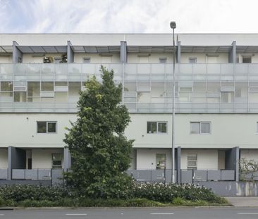 14/95 Euston Road, Alexandria NSW 2015 - Apartment For Rent | Domain - Photo 6