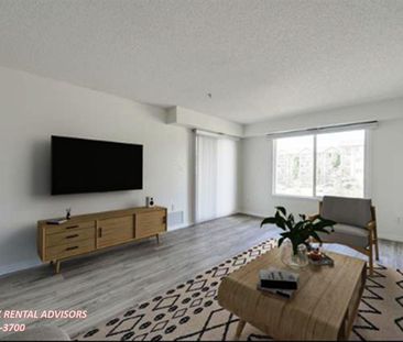 #309 8117 114 Avenue Northwest - Photo 3