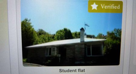 Charming Home in North Dunedin! - Photo 3