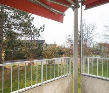 Feeling at home - Photo 3