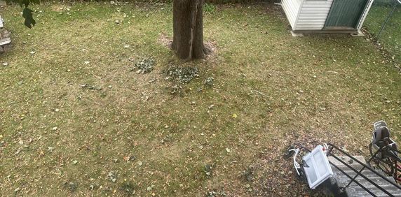 5 et 1/2 Villeray 1800$ chauffage inclus - Photo 2