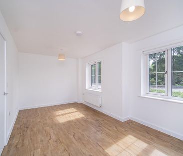 3 bedroom house to rent - Photo 1