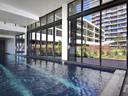 743/8 Ascot Avenue, Zetland - Photo 5