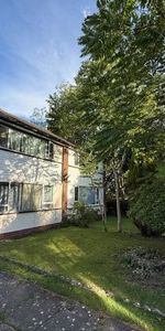 Lichen Green, CV4, Property for rent - Photo 3