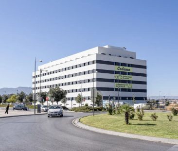 Armilla - Photo 1