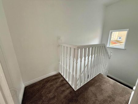 109 Greenore Street, Belfast, BT6 8NF - Photo 5