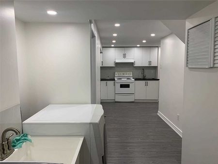 For Lease - 8 Big Red Avenue Unit# Lower, Toronto, Ontario - Photo 3