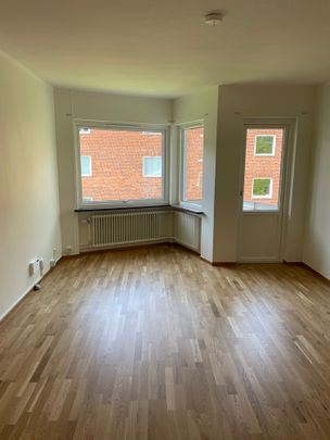 Ödmanssonsgatan, Landskrona - Photo 1