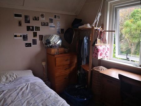 Spacious 6BR Kelburn Haven - Photo 4