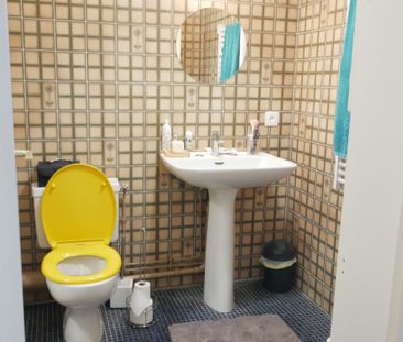 Location Appartement 1 pièce 24m² ANGERS 49100 - Photo 4