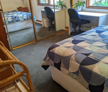 Collaroy Plateau - Photo 5