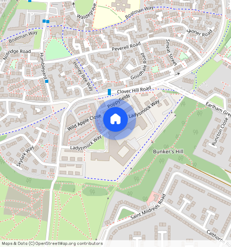 Ladysmock Way, Norwich, NR5