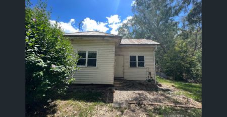 COZY 1 BEDROOM HOME ON SPACIOUS BLOCK JUST A SHORT STROLL TO APEX PARK & THE CBD - Photo 2