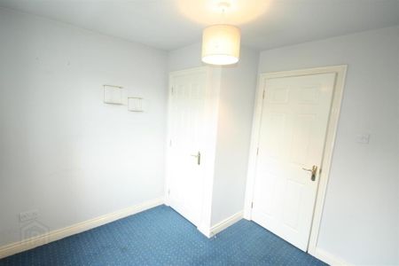 4 Riverview Heights, Ballynahinch, BT24 8US - Photo 4