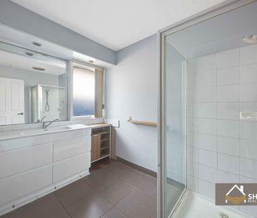 Freshly painted throughout - Spacious Light filled family home - Photo 5