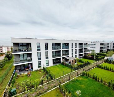 ✅ NOWE MIESZKANIE SZUKA OPIEKUNA ✅ - Zdjęcie 1