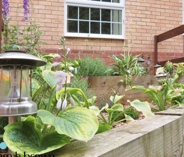 The Street - Photo 1