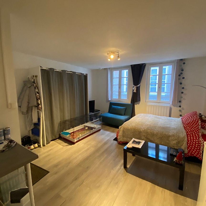 Location Appartement 1 pièce 21m² - Photo 1