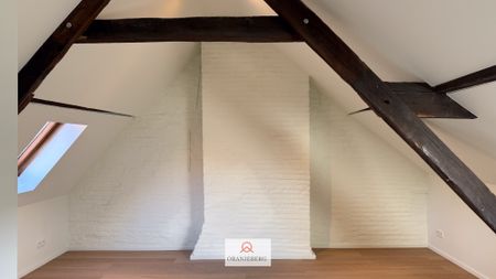 Prachtige triplex in hartje Gent - Foto 5