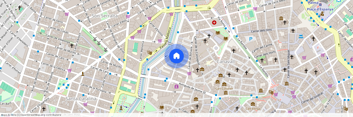 Carrer del Baró de Santa Maria del Sepulcre, 11, Centre, 07012 Palma, Illes Balears, Spain, Palma de Mallorca, Balearic Islands 07012, Palma-De-Mallorca