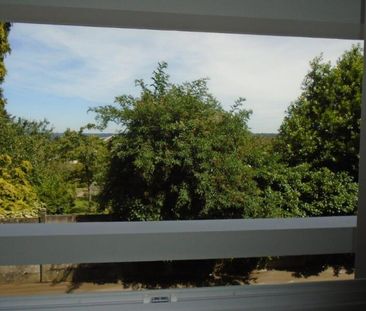 Location Appartement 1 pièce 21m² ISLE 87170 - Photo 4