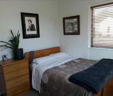 Merivale Unit Across The Road From Hagley Park - Photo 5