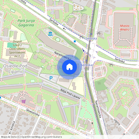 ul. Naramowicka, Winogrady, Stare Miasto, Poznań, wielkopolskie