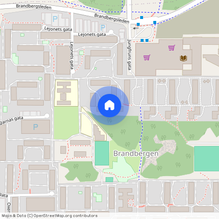 Lejonets Gata 363, Brandbergen