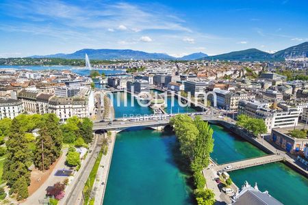 Maison individuelle de prestige à Chambésy - Foto 3