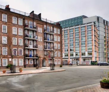 4 Bed / 1 Bath - Photo 4