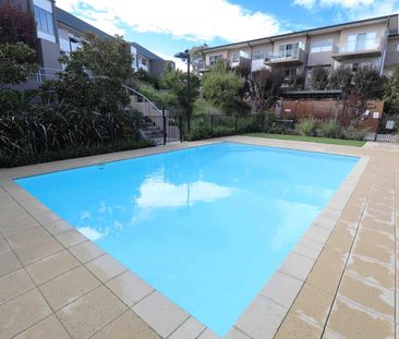 78/121 Easty Street, Phillip ACT 2606 - Apartment For Rent - $490 |... - Photo 1