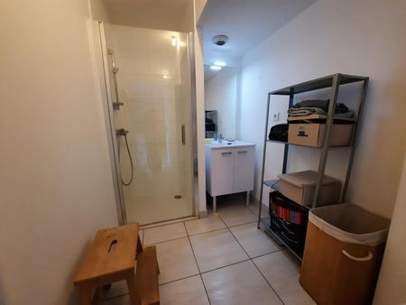 Location Appartement 1 pièce 28m² NANTES 44100 - Photo 5