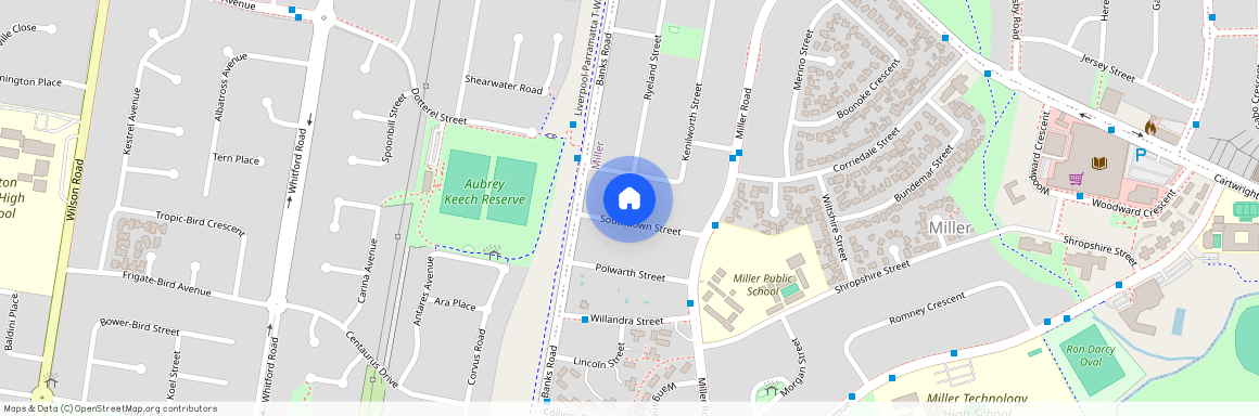 17 Southdown St, NSW 2168, Miller