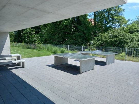 Attic apartment with large terrace - Photo 1