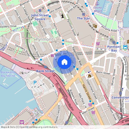 25 Little Mount Street, NSW 2009, Pyrmont