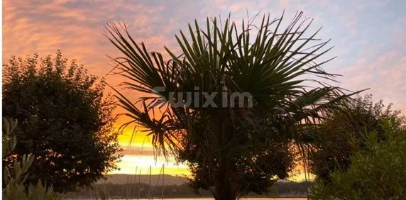 RARE ! Apartment for rent in the center of Geneva with large terrace View of the water jet - Photo 2