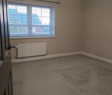 Long Meadow - Photo 5