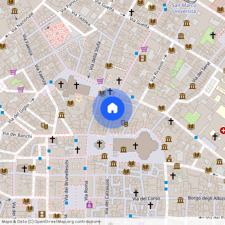 Via dei Martelli, Centro Storico, Firenze, Firenze, Toscana