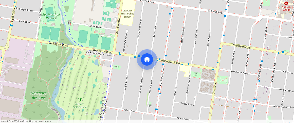 71 Wellington Road, AUBURN, NSW 2144