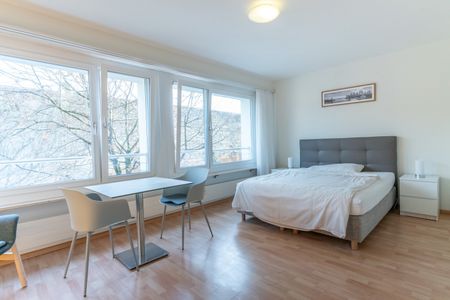 Willkommen am Herrengrabenweg 15 in Basel! - Foto 2