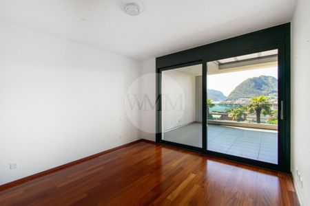 A WINDOW OVER THE LAKE: ELEGANT APARTMENT WITH VIEW TO MASSAGNO - Photo 4