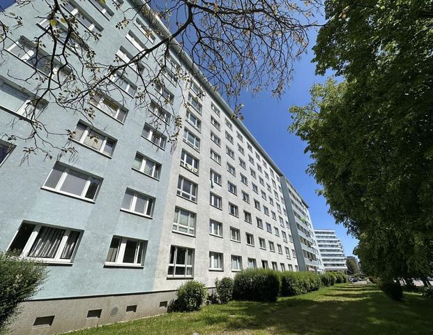 3-Raum-Wohnung - Foto 1