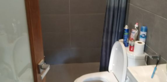 Chippendale - Photo 2