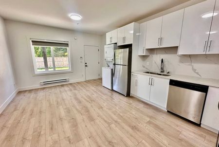 13185 236b St, Maple Ridge (Ground Level Basement B) - Photo 4