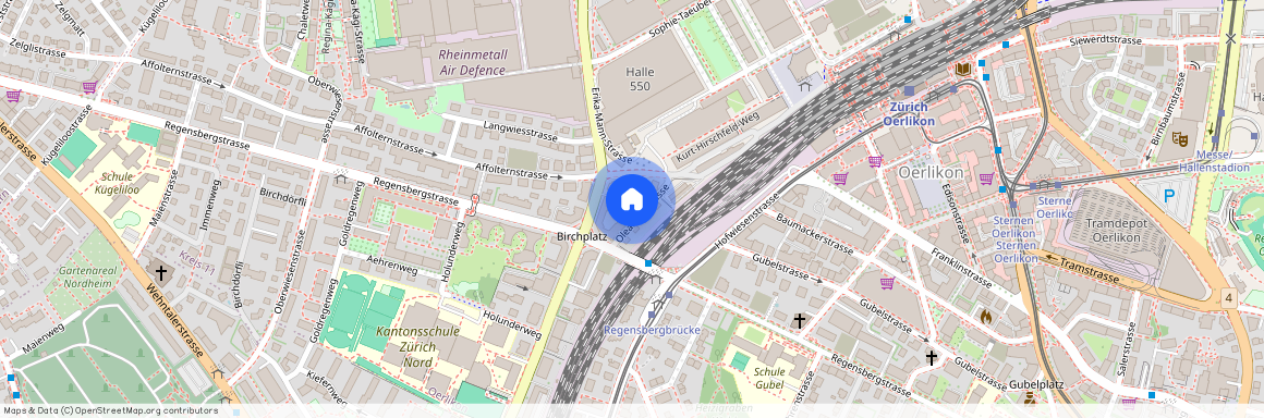 Oleanderstrasse 10, 8050 Zürich